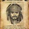 32 Διακοσμητικό πινακάκι τοίχου- Jack Sparrow wanted- PCIN-041