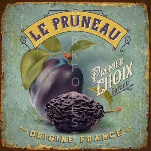 Μαγνητάκι- Le pruneau- TMAG-004