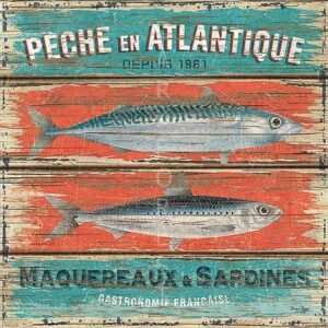 Μαγνητάκι-  Peche en Atlantique- TMAG-001