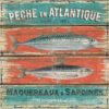Μαγνητάκι-  Peche en Atlantique- TMAG-001