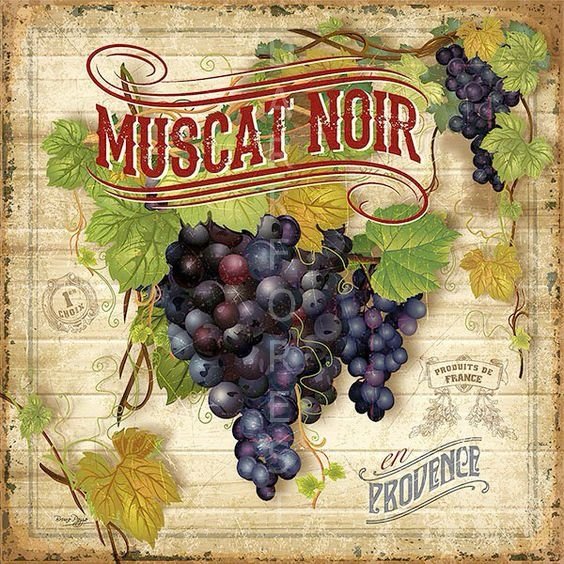 Μαγνητάκι- Muscat Noir- TMAG-038