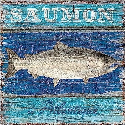 Διακοσμητικό πινακάκι τοίχου- Saumon- PKIT-020