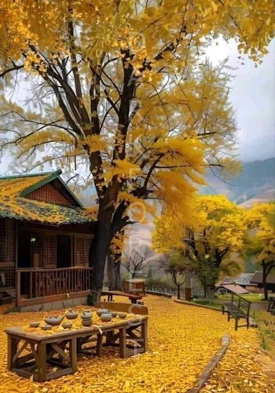 582ab2ea3b94985ff837b2b409f3d402 Διακοσμητικό πινακάκι τοίχου- The small house- PSEA-020