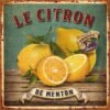 Μαγνητάκι- Le citron- TMAG-028