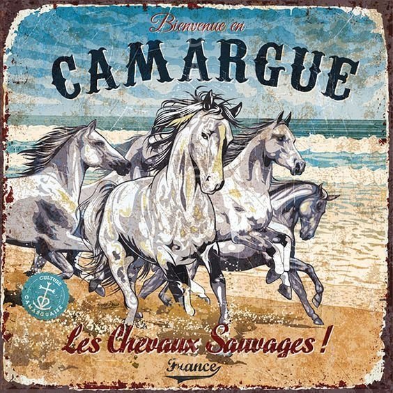 Μαγνητάκι- Horses- TMAG-036