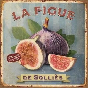 Μαγνητάκι- La figue- TMAG-037