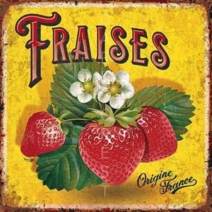 Μαγνητάκι- Fraises- TMAG-016