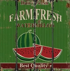 Μαγνητάκι- Watermelon- TMAG-068