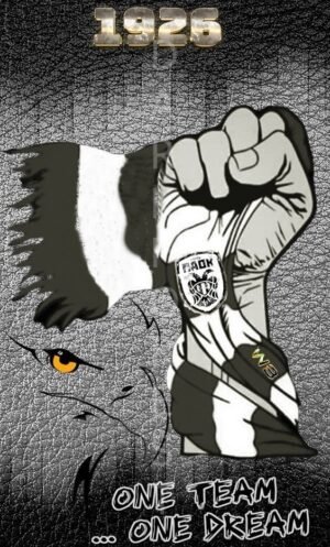 Μαγνητάκι- ΠΑΟΚ- OMAG-055