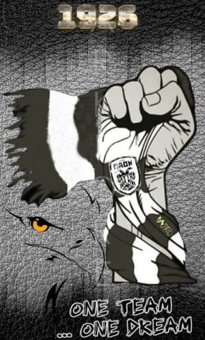 Διακοσμητικό πινακάκι τοίχου-ΠΑΟΚ- PATH-026