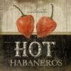Μαγνητάκι- Hot habaneros- TMAG-045