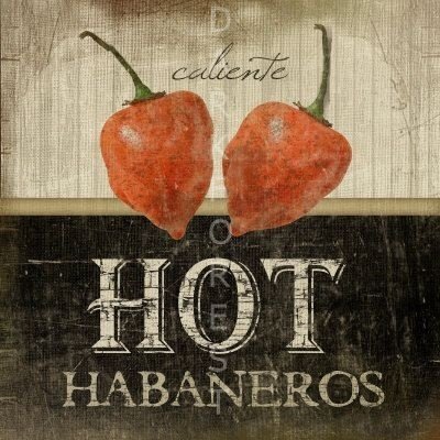b1fc31f3ee6a324270809dabb87d98b1 Διακοσμητικό πινακάκι τοίχου- Hot habaneros- PKIT-041