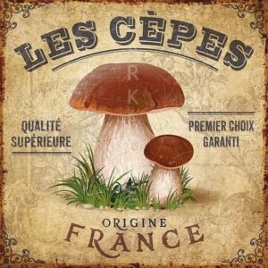 Μαγνητάκι- Les cepes- TMAG-056