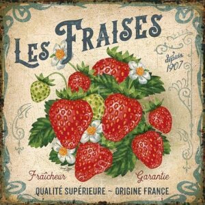 Μαγνητάκι- Les Fraises- TMAG-058