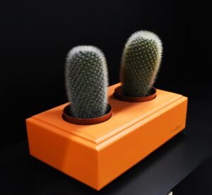 Ξύλινο γλαστράκι δύο θέσεων- Πορτοκαλί- DUOG-ORAA