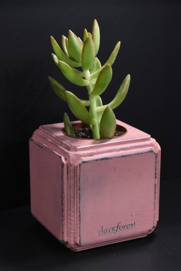 Ξύλινο γλαστράκι με φυτό- Ροζ- FANG-PINP