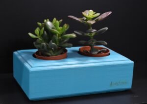 Ξύλινο γλαστράκι δύο θέσεων- Μπλε- DUOG-BLUA