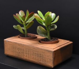 Ξύλινο γλαστράκι δύο θέσεων- Καφέ- DUOG-KAFP