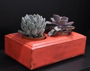 Ξύλινο γλαστράκι δύο θέσεων- Κόκκινο- DUOG-REDP