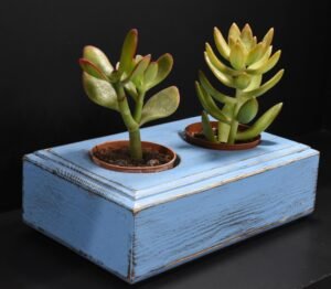 Ξύλινο γλαστράκι δύο θέσεων- Μπλε- DUOG-BLUP