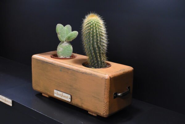 Ξύλινο γλαστράκι δύο θέσεων- Καφέ- LKG2-KAFP