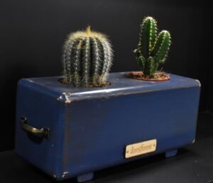 Ξύλινο γλαστράκι δύο θέσεων- Μπλε σκούρο- LKG2-BLDP