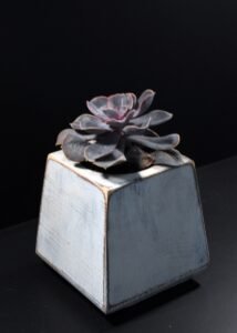 Ξύλινο γλαστράκι με φυτό- Λευκό- KONG-LEUP