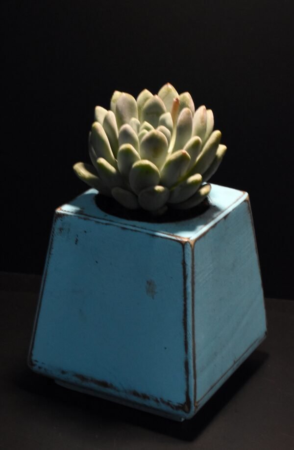 Ξύλινο γλαστράκι με φυτό- Μπλε- KONG-BLUP